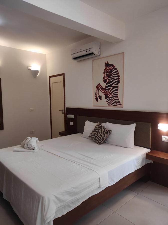 Hotel Sao Francisco 日若卡-迪热里科阿科阿拉 外观 照片