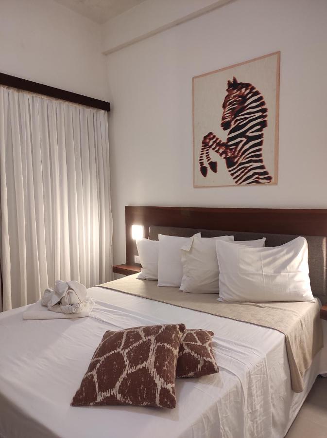 Hotel Sao Francisco 日若卡-迪热里科阿科阿拉 外观 照片
